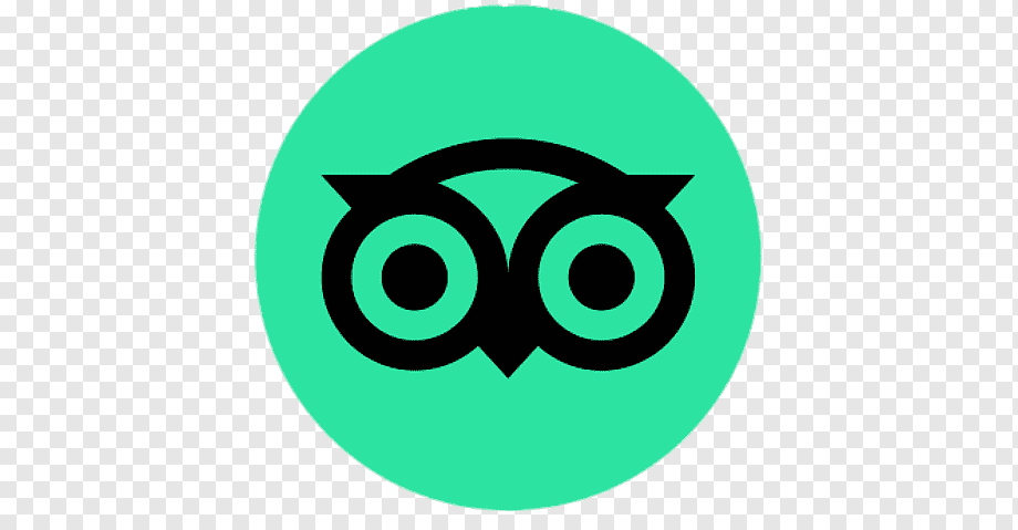 review on tripadvisor